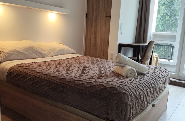 3-bedroom Panoramic view Lyon