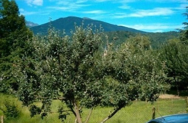 3-room guest house any comfort with private swimming pool, very quiet