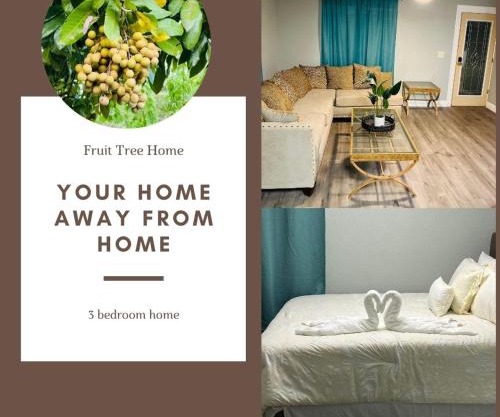 3bdrm Fruit Tree Home near downtown Orlando