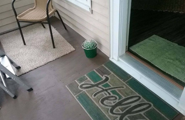 4 Bed, 1 Bathroom Bungalow 8 blocks from Downtown!