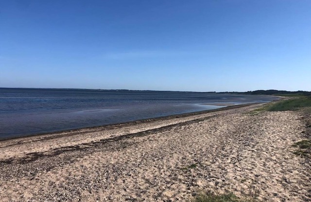 4 bedroom accommodation in Farsø