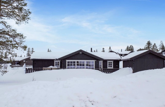 4 bedroom nice home in Engerdal