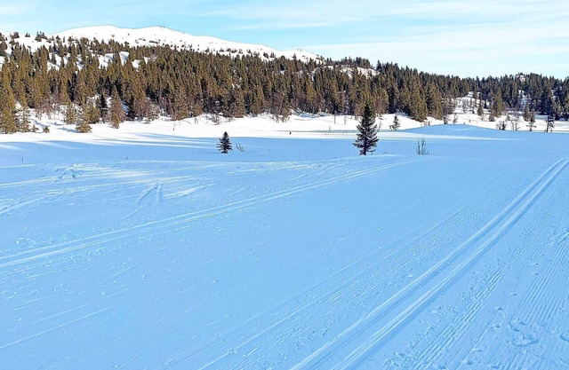 6 person holiday home in Aurdal