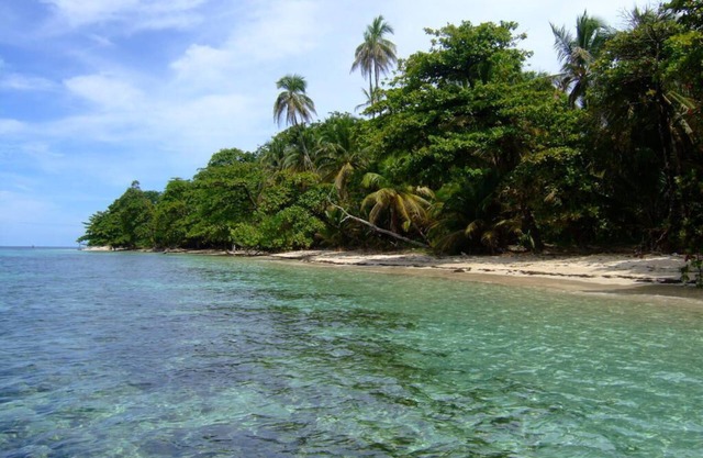 80USD OFF night ,Ocean, BEACHES /PRIVACY/POOL/Ocean View/Large Group