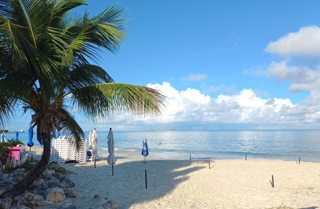 A Blissful Carib/n Getaway! Work or Leisure, 15 mins to Beaches & Restaurants.