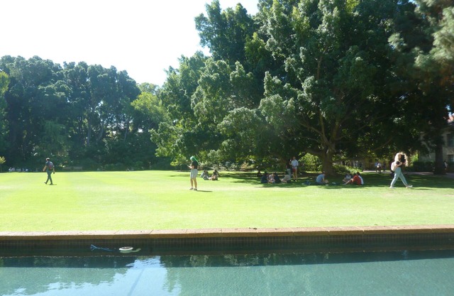 A Classical Relaxation Resort for a family of 4 -6 in Christmas and/or New year