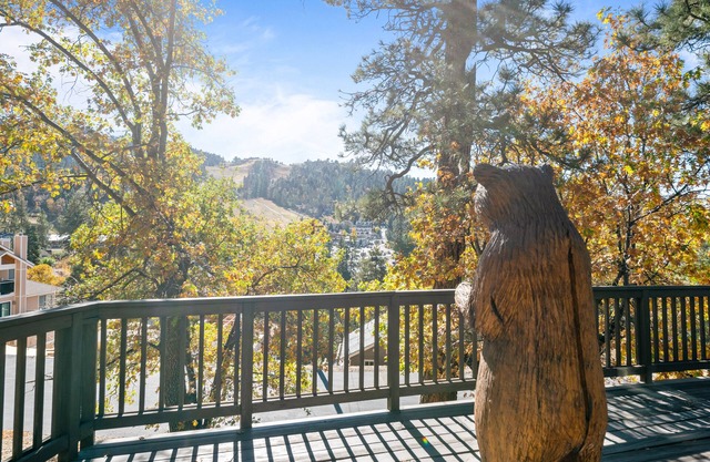 A Ski View - Game Room, Pool Table, Walk to Bear Mountain