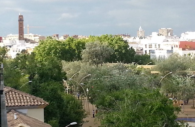 Alameda overview apartment