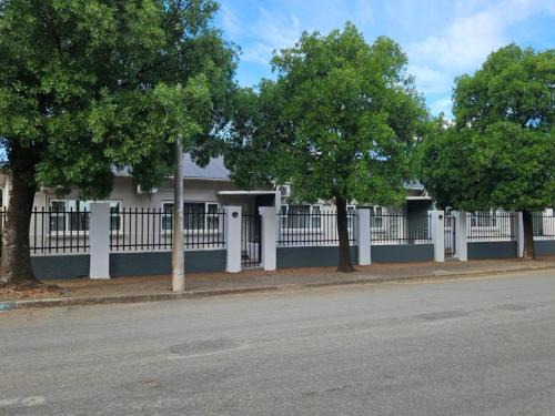 Aloes 1st on Camp