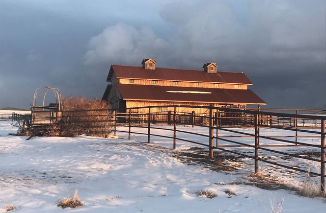 AMAZING HERITAGE RANCH BARN "Gentrified"