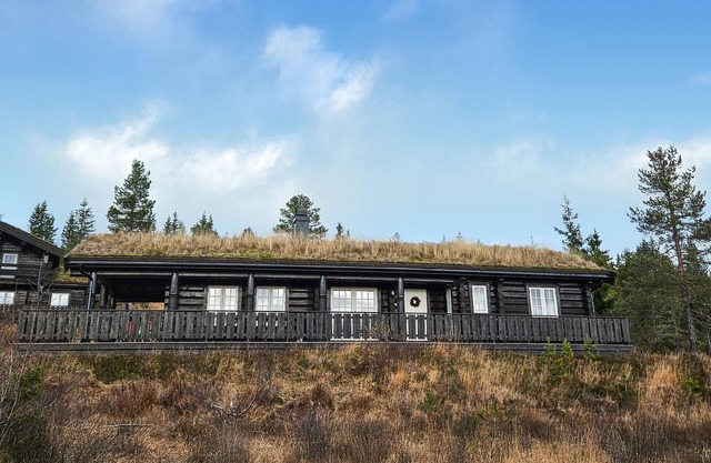 Amazing home in Nissedal with WiFi