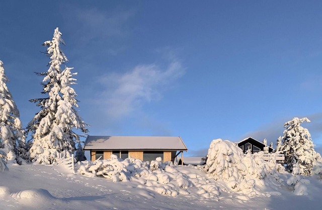 Amazing home in Sjusjøen with kitchen
