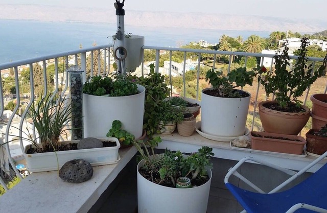 Amazing Sea of Galilee View Room