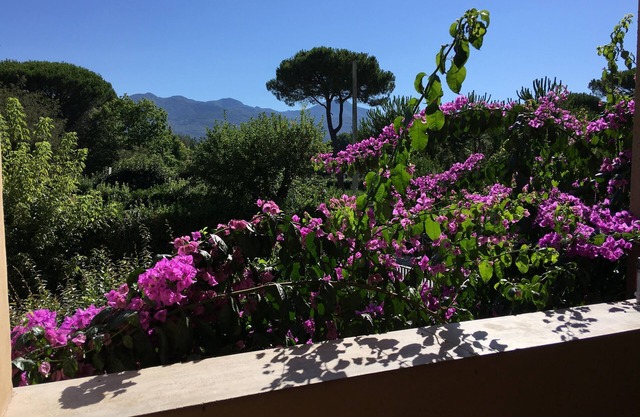 Anna's House, in Forte dei Marmi.