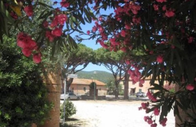 Apartment/flat - Castiglione della pescaia