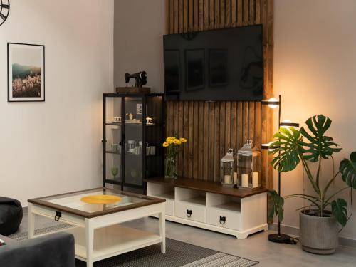 Apartament MT Badger Centrum