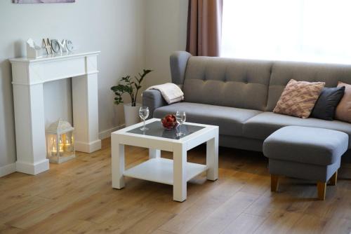 Apartament na Wspólnej (centrum, garaż)