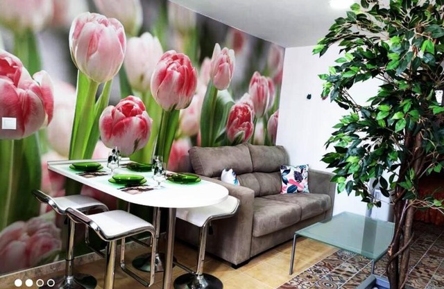 Apartamento Los Tulipanes