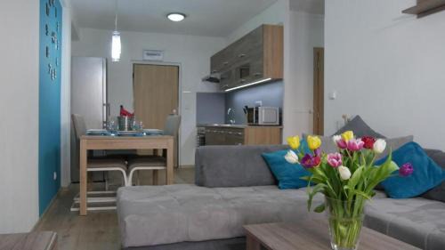 Apartmán Všemina 14A