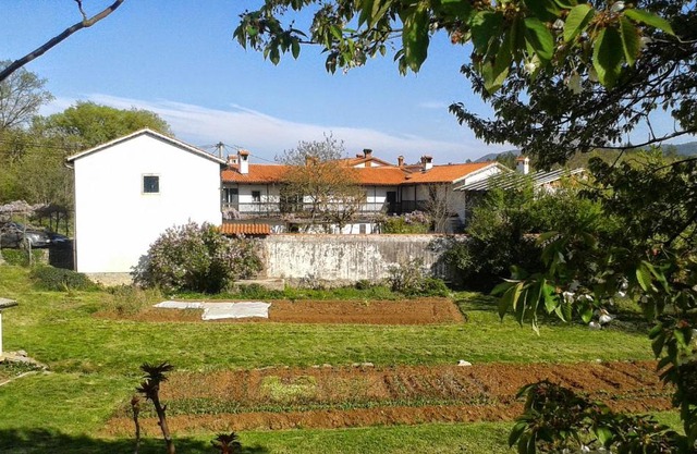 Apartmaji Hedera