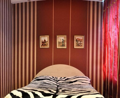 Apartment on Ozheshko Centr