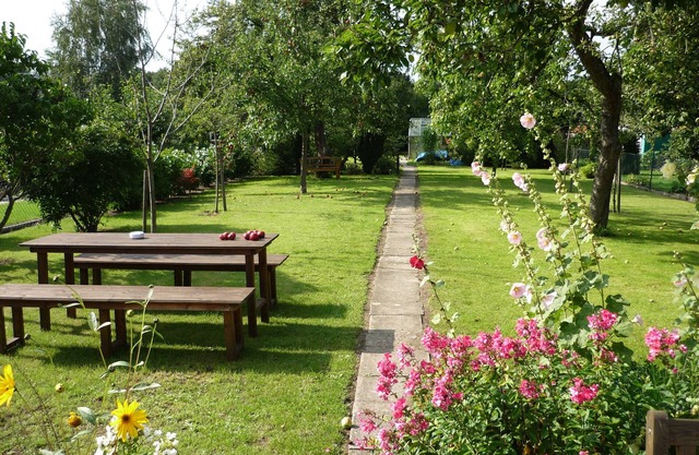 Apartment with garden