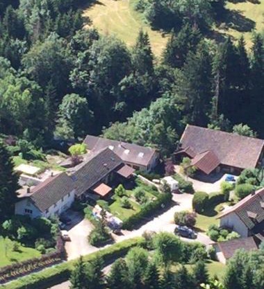 App 6 px Nid de verdure