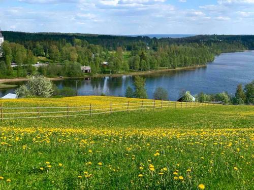 Appartement in Jämtland bij Gusto Stables .
