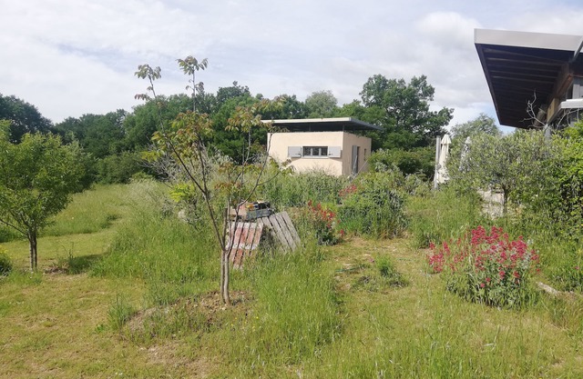 Architect cottage in the garrigue