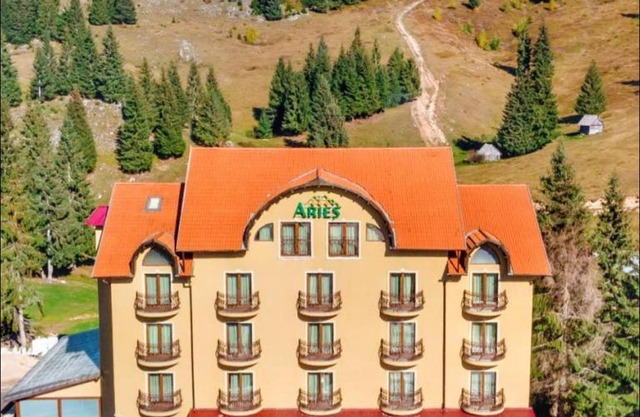 Aries Vârtop