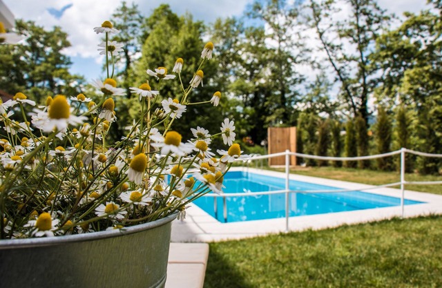 Aristotelia Gi Studio - Cozy Poolside Bliss