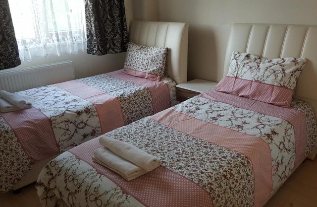 Asya Troya Homes