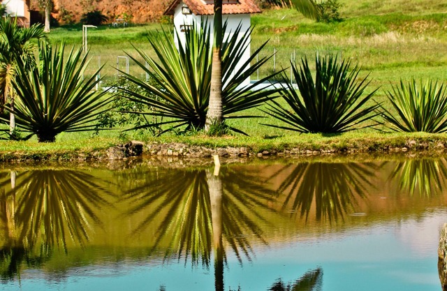 At the foot of the Petrópolis mountains, 50 minutes from Rio, beautiful country house.