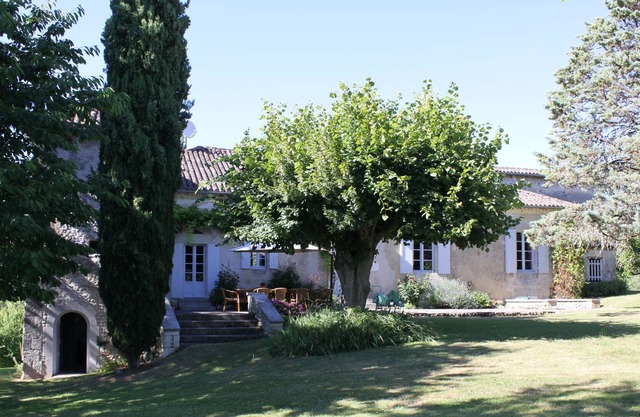 Atmospheric chartreuse with large swimming pool.