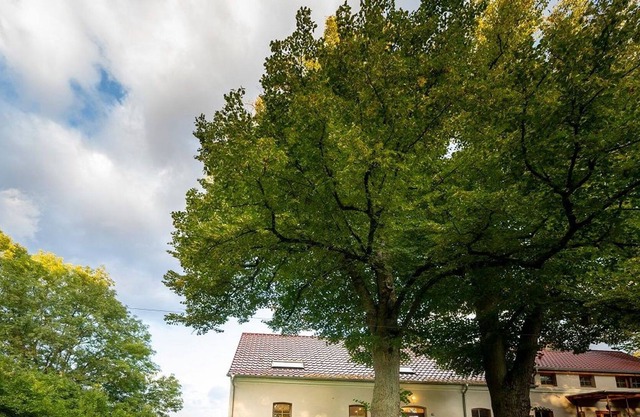 Auszeit auf dem Brigittenhof