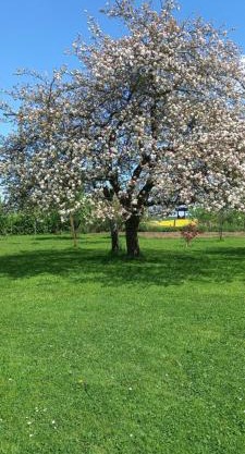Aux trois petites notes