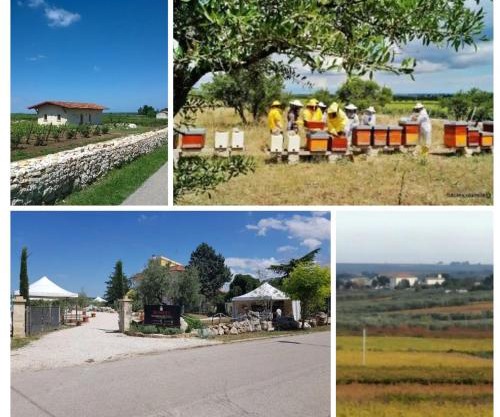B&B Biobonizio PIERLUIGI