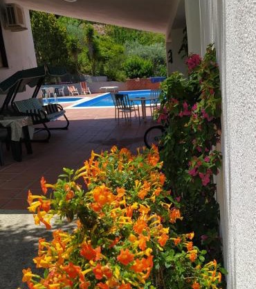 B&B Troisi