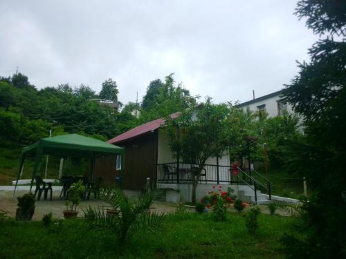 BANI tsikhisdziri
