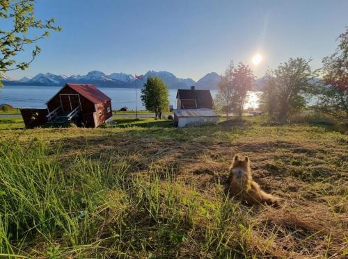 Basecamp Djupvik, Lyngen alps panorama