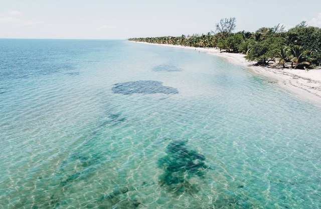 Beach Front Studio - Turtle Tides