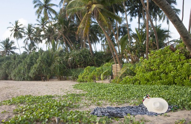 Beachfront villa with pool and full staff