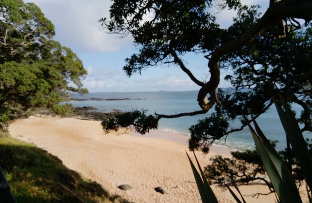 Beachside Hideaway - by the surf & sand of LIttle Cable Bay - pet friendly!