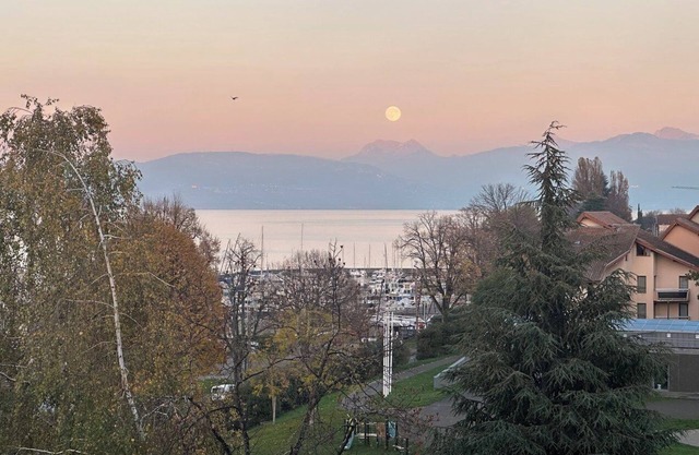 Beautiful 2-bedroom apartment in Evian-les-Bains with view of Lake Geneva