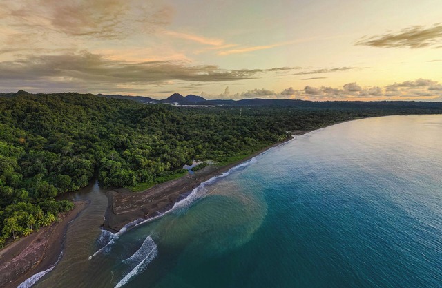 Beautiful cabin in the beachfront, perfect to explore jungle and sea. Full relax