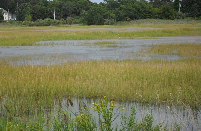 Beautiful Retreat Ocean, botanical Garden.