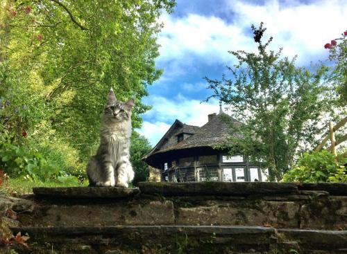 Bed and Breakfast à Rochefort-en-Terre