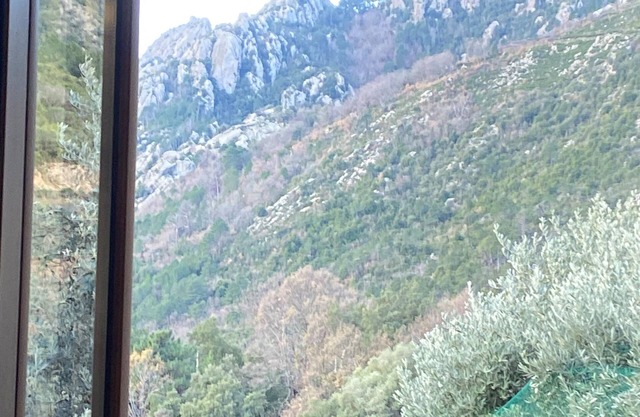 Bed and breakfast Centre Corse 2