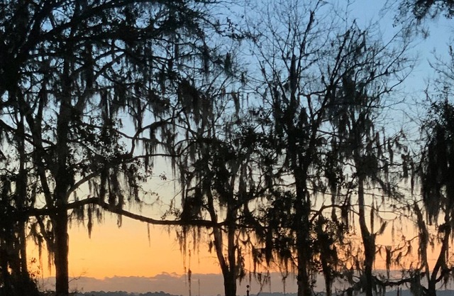 Best kept secret-peaceful, lakeside villa on George's Lake