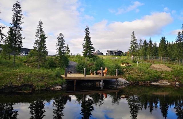 Blåfjell hundesenter fjellhotell